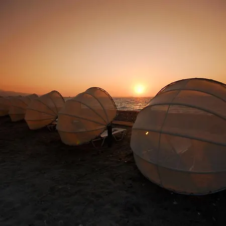 ホテル Kipriotis Maris